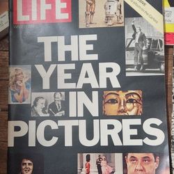 THE YEAR IN PICTURES