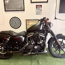 2021 Harley Davidson Sportster Iron 883