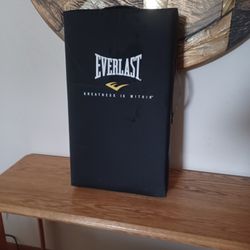 Everlast Punch Bag