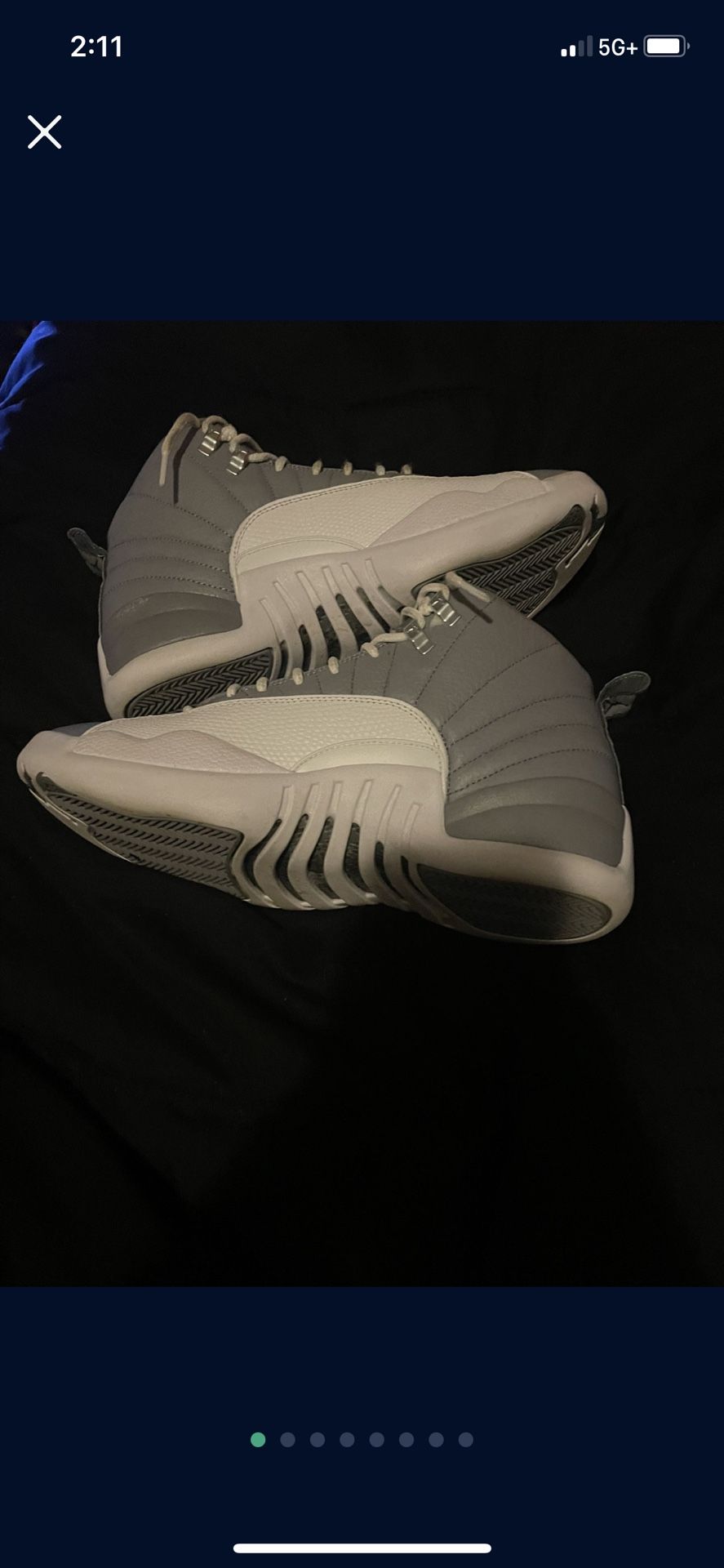 Jordan 12 Stealth  