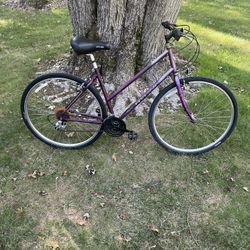 28” Schwinn Hybrid Bike