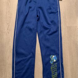 Sonic the Hedgehog Boys Graphic Track Pants Blue XL 14-16