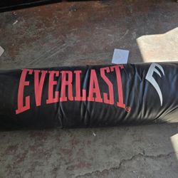 Everlast Punching Bag