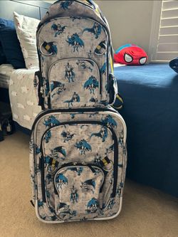 Pottery barn luggage set