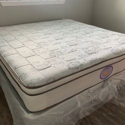 New King Mattress And Box Springs Bed Frame Is Not Included 