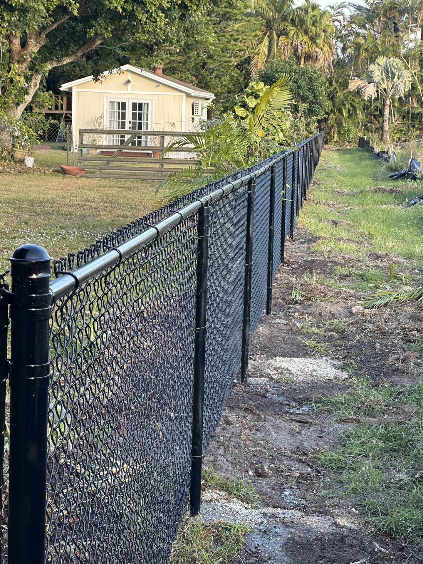 Fence 