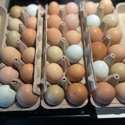 Farm Fresh Eggs Dozen