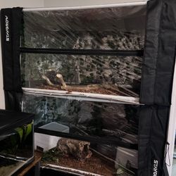 Ball Python Enclosures