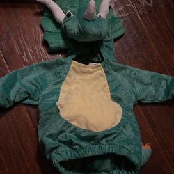 Cute Dinosaur Costume For Small Dog