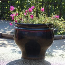 Two Big Ceramic Pots With Perennials