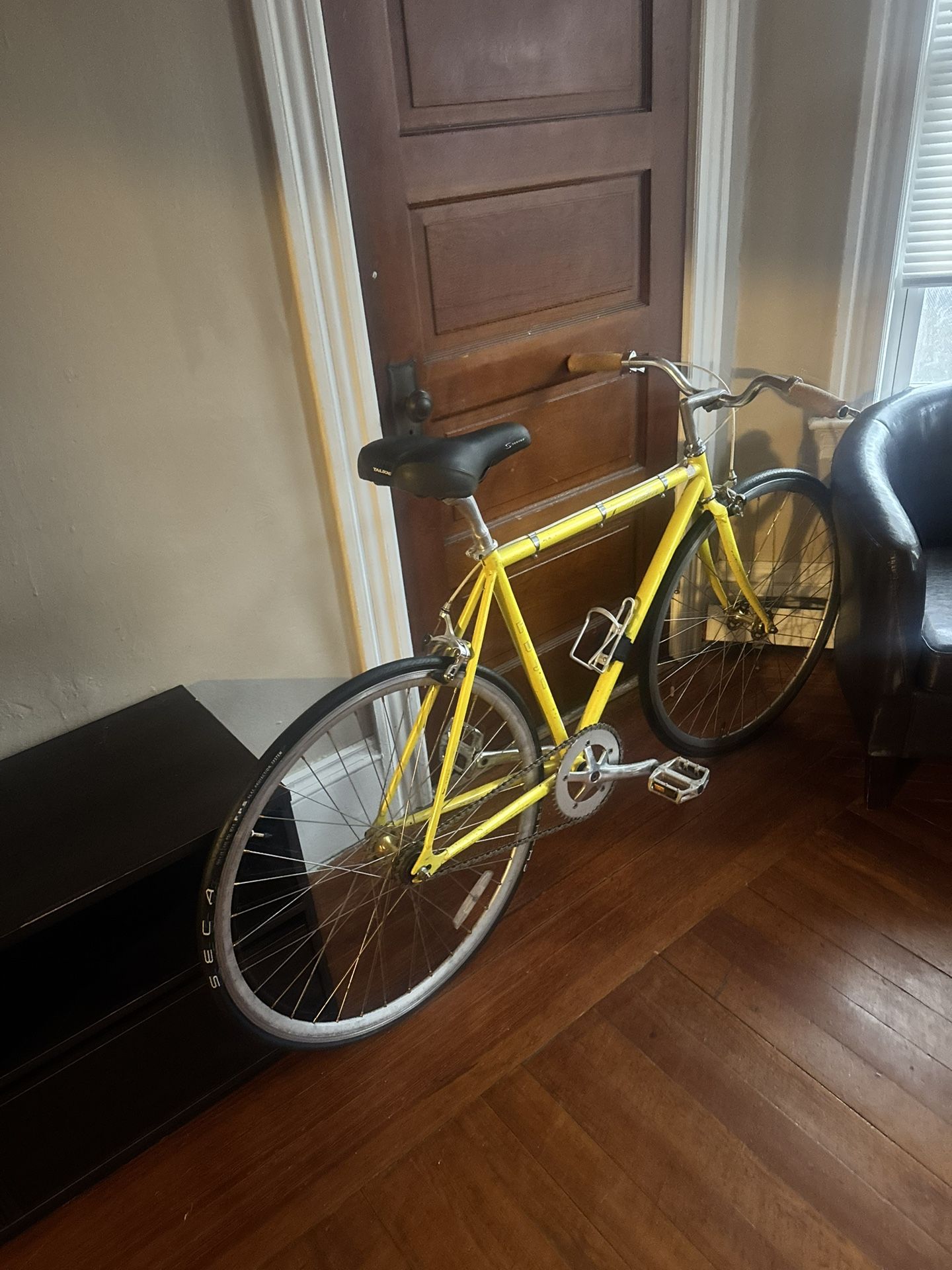 Fuji Bike