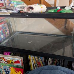 20 Gallon Tank With mesh Opening Top