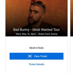 Bad Bunny Concert Section 204