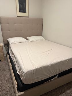 Tan Queen Size bed (mattress and box spring included)