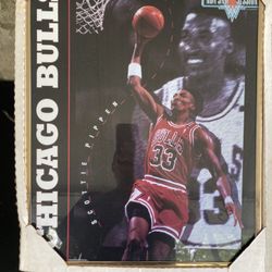 Scottie Pippen Chicago Bulls 1993 Costacos Brothers Poster NBA Jam Session ( PICK UP ONLY)