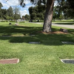 Burial Plot - Oakdale Mortuary