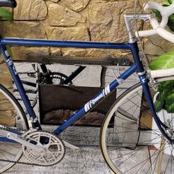 Tommaso 57cm Campagnolo Groupset Road Bike......