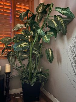 Artificial plant