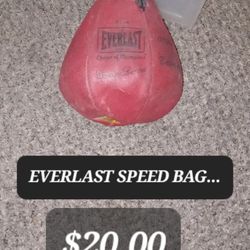 EVERLAST SPEED BAG