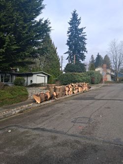 FREE FIREWOOD 16-18" rounds