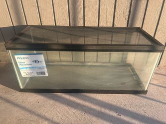 Glass Aquarium