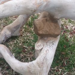 Very Old Antique Driftwood