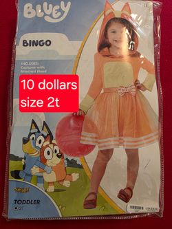 Bingo halloween costume
