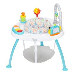 Jumper & Activity Center Table $30  Pick Up Only Bonanza and Lamb 