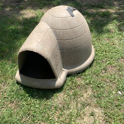 Dog House 