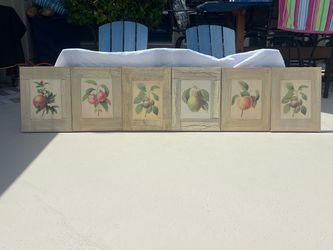 Set of 6 Botanical Fruit canvas Wall Art Panels