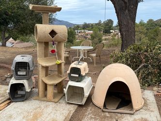 Free pet stuff