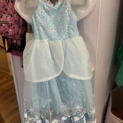 Cinderella Dress 