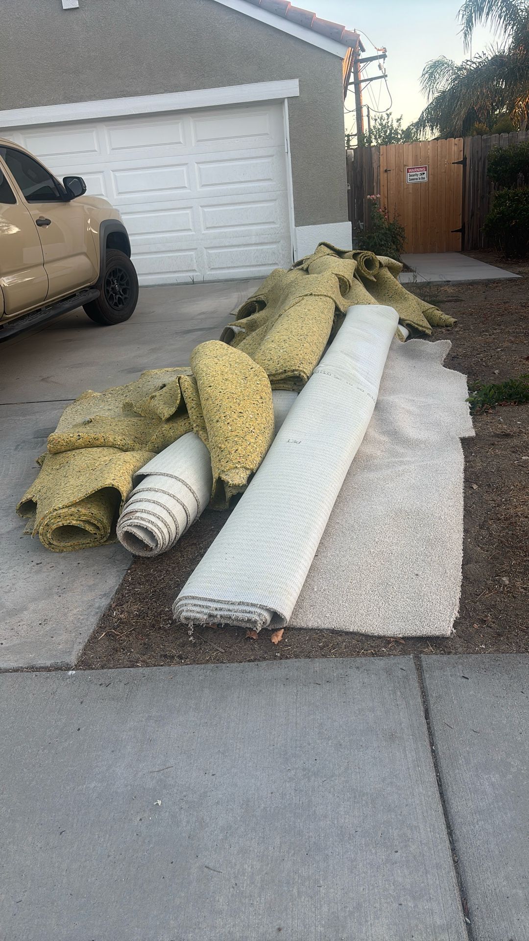 Free Carpet
