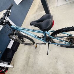 Trek Mountain Bike