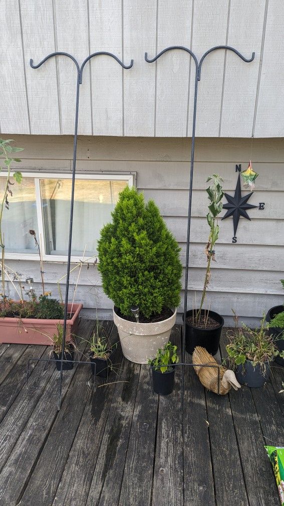 2 Double Shepard Hooks For Yard