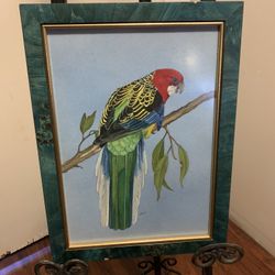 Parrot Wall Decor