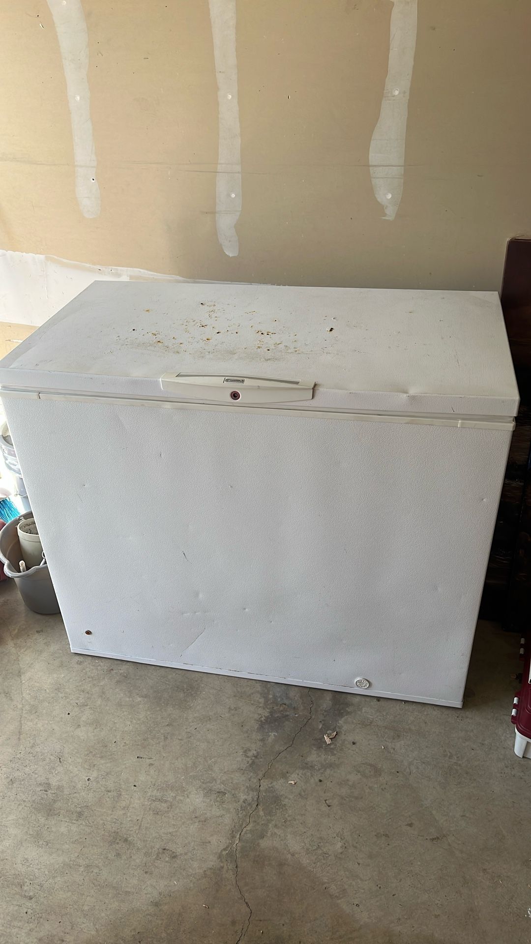Free Standing Freezer.
