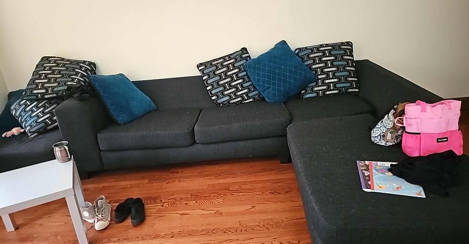 Sectional Couch And Side Couch