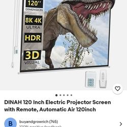 DINAH  120 Inch Projection Screen 