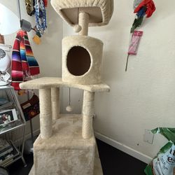 Cat Tower