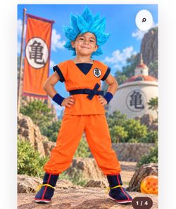 Goku Super Saiyan Blue Ultimate Warrior Costume Set