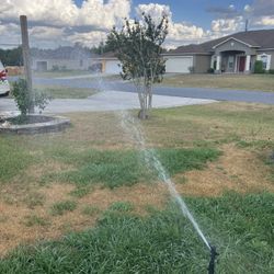 Sprinkler 360 degrees 