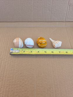 Medium Hermit Crab Shells