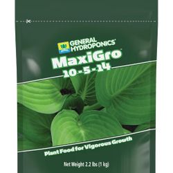 House Plants Coleus In A Wine Bottle 