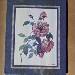 Accento Crafts Frameless Print By Pierre-Joseph Redouté,  16"x20"