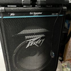 DJS 1800, 2 Kustom Model KSC10 Speakers 