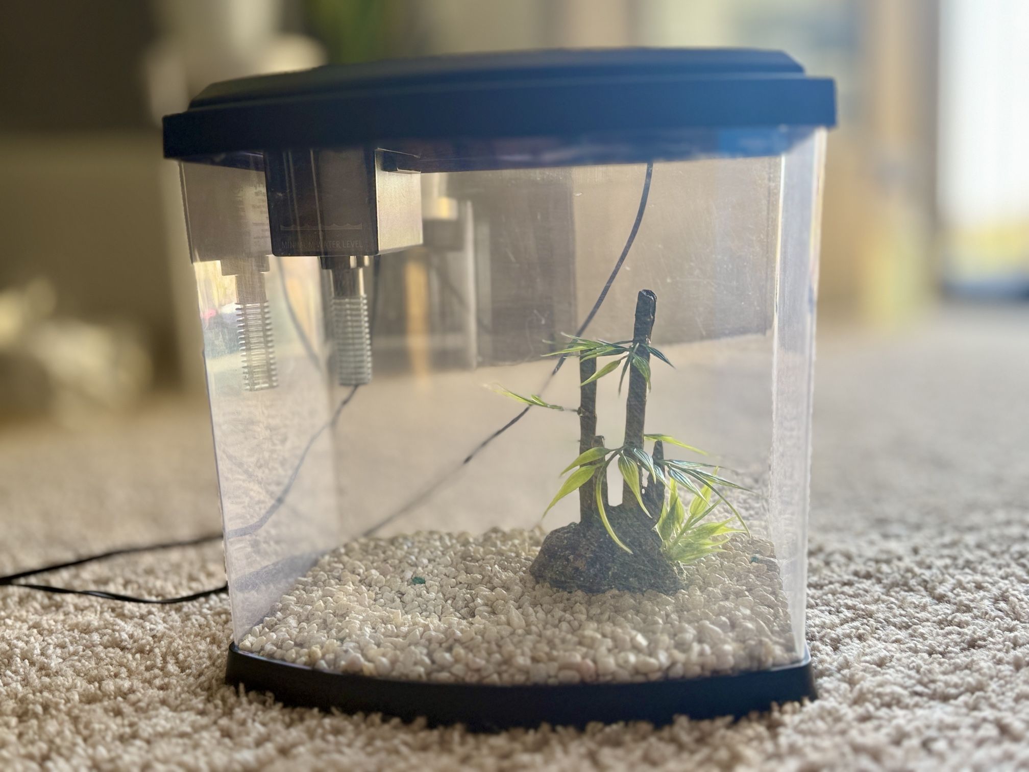 Aquarium Tank