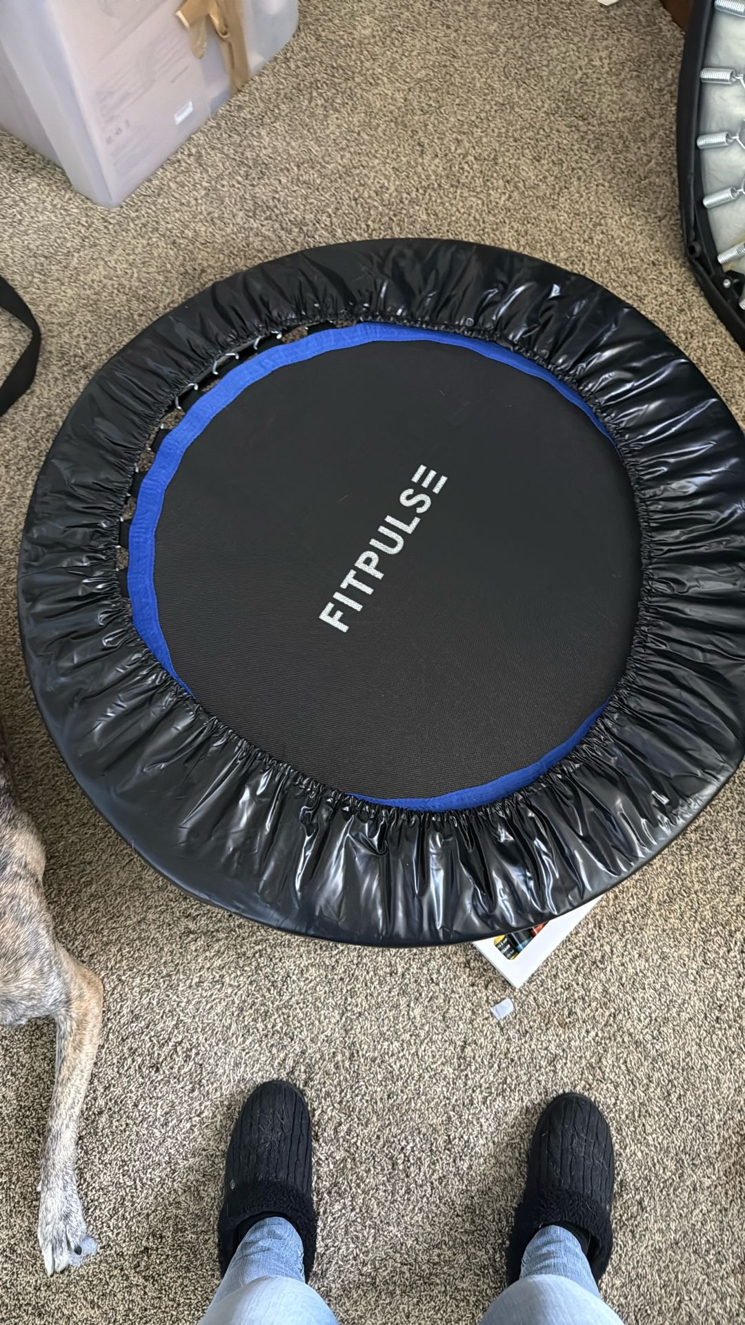 Small Trampoline