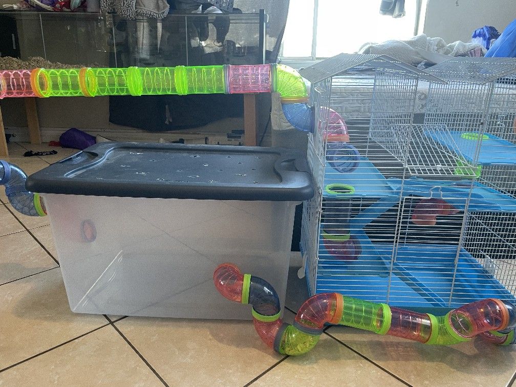Hamster Mansion With Everything In Pics