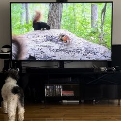 Black TV Stand - IKEA Bestå